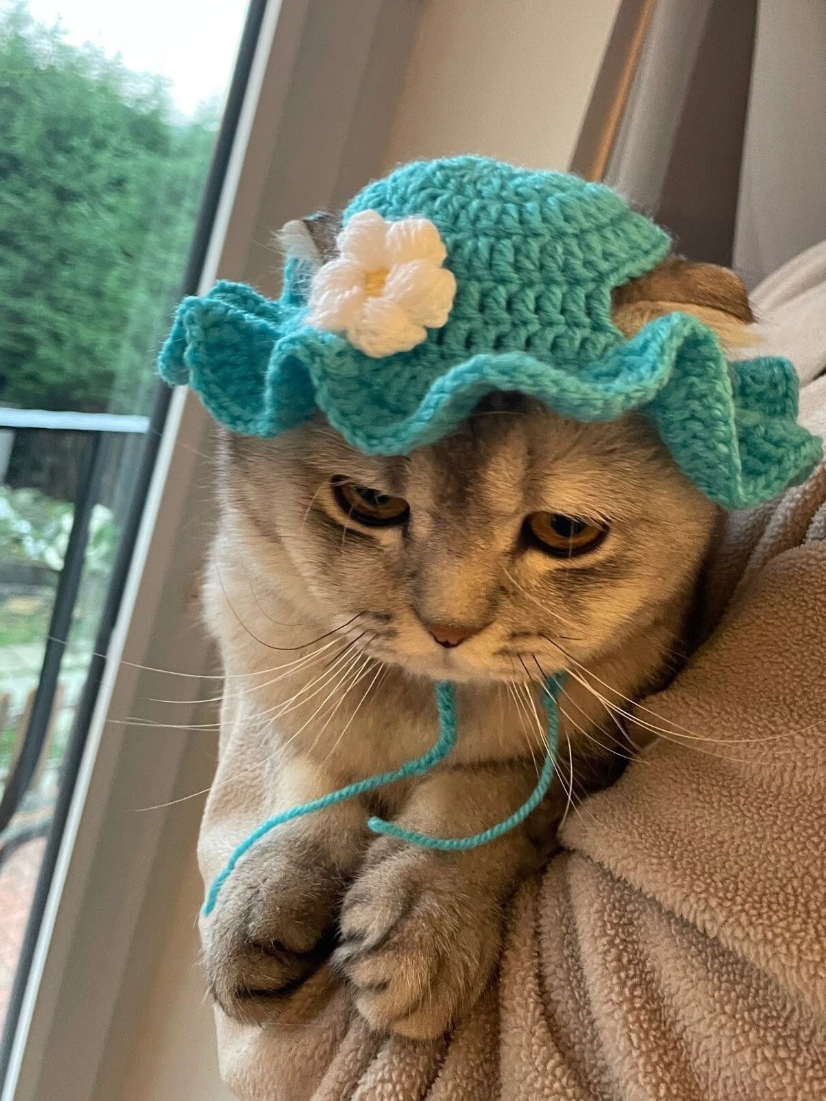 Handmade Crochet Cat Hat – Cute, Warm & Comfortable Pet Accessory