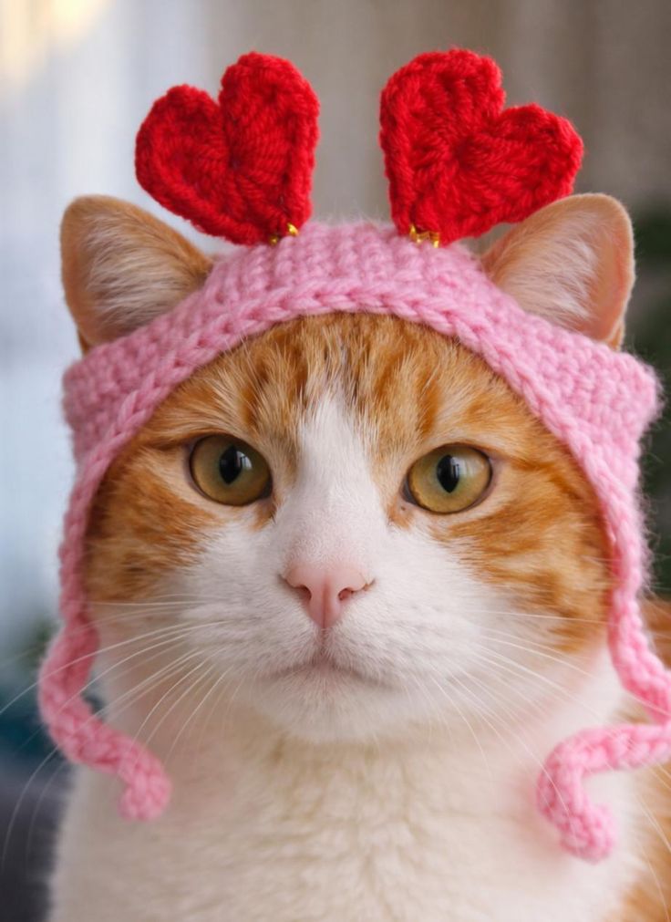Handmade Crochet Cat Hat – Cute, Warm & Comfortable Pet Accessory