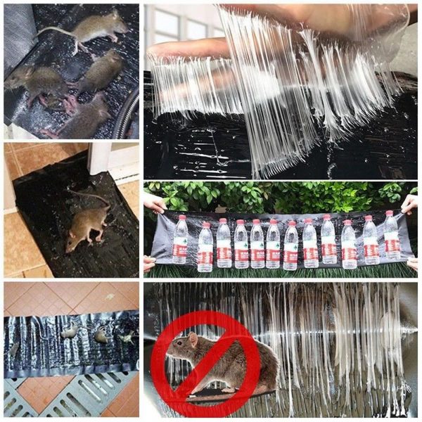 Mouse Trap Sheet