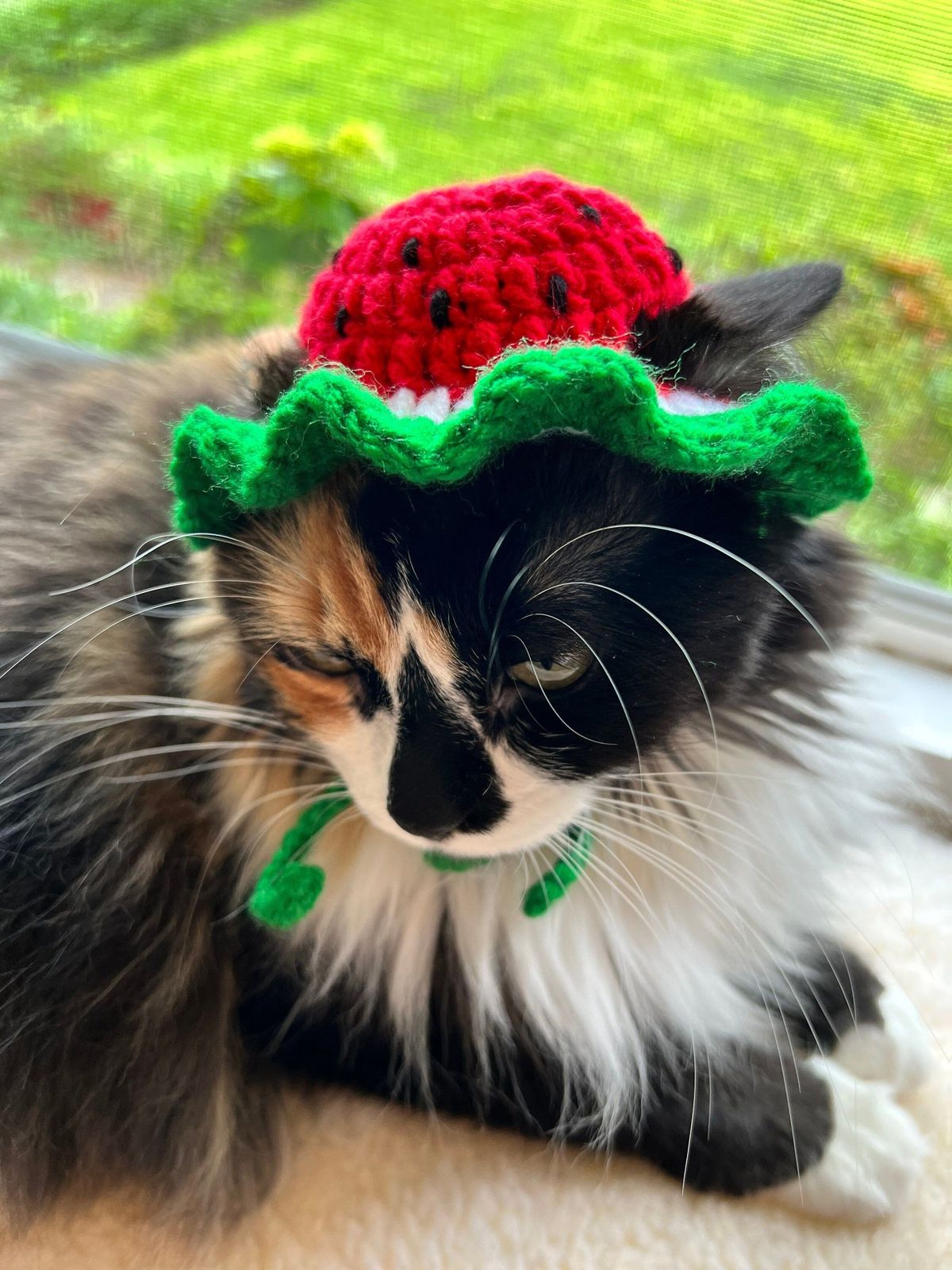 Handmade Crochet Cat Hat – Cute, Warm & Comfortable Pet Accessory