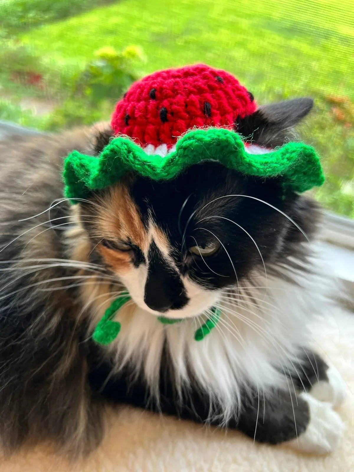Handmade Crochet Cat Hat – Cute, Warm & Comfortable Pet Accessory - Eazzy Store