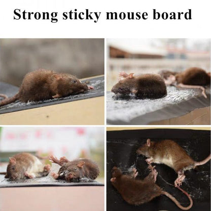 Mouse Trap Sheet