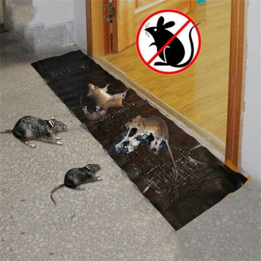 Rat trap with rats on a floor and a no rats symbol above.
